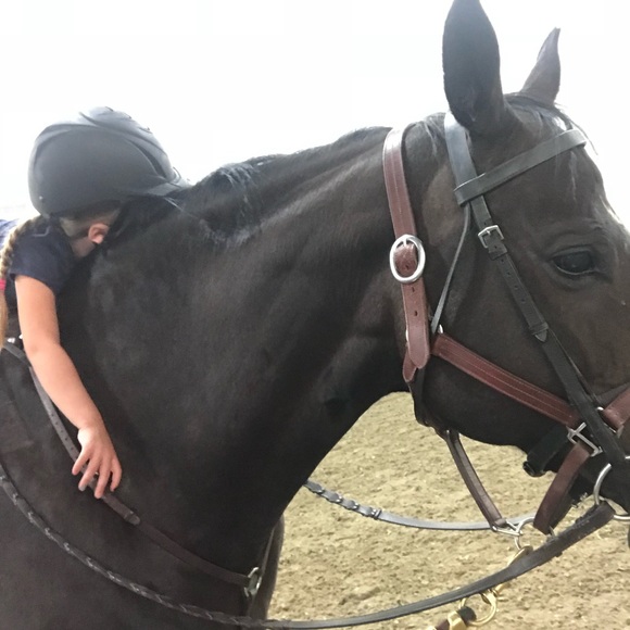 Meet your Posher, Holly - Picture 1 of 1